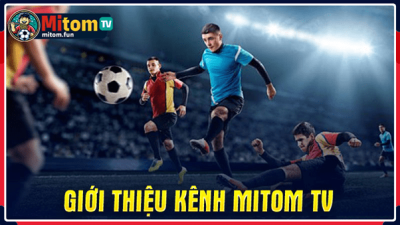 Trải nghiệm kênh trực tiếp bóng đá Mitom TV với nhiều giải đấu lớn