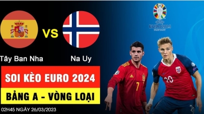 Xem trực tiếp bóng đá Euro 2024 với trải nghiệm không giới hạn